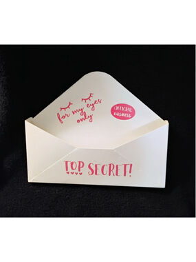 Hobby Lobby Decorative Top Secret Mailbox Pink Lettering Home Decor Wall Pocket